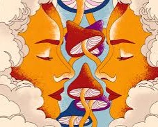 FREE Mushie Guide! thumbnail