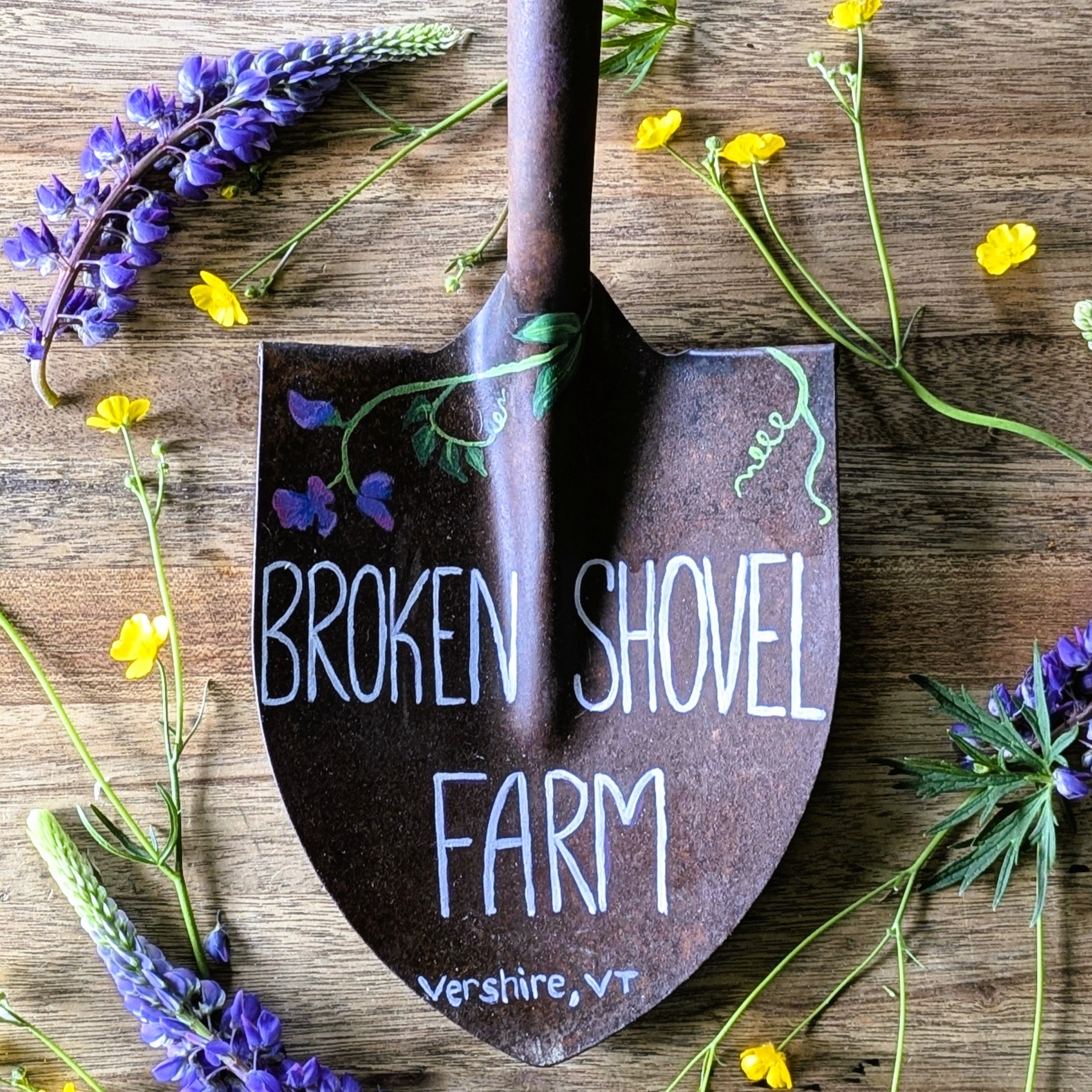 Broken Shovel Brooms thumbnail