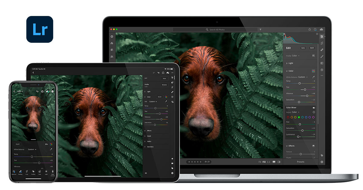 Adobe Lightroom thumbnail