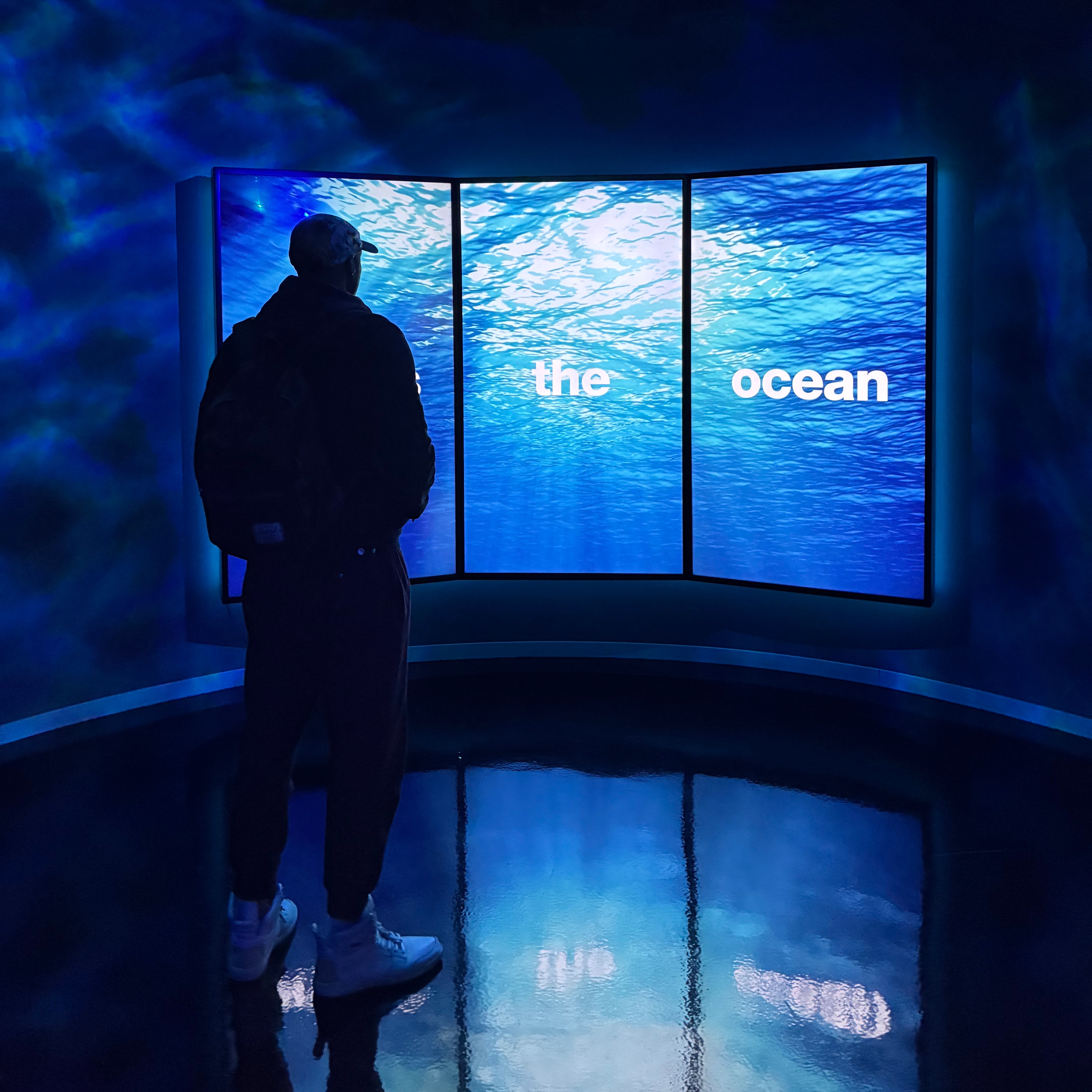 Reflection thumbnail