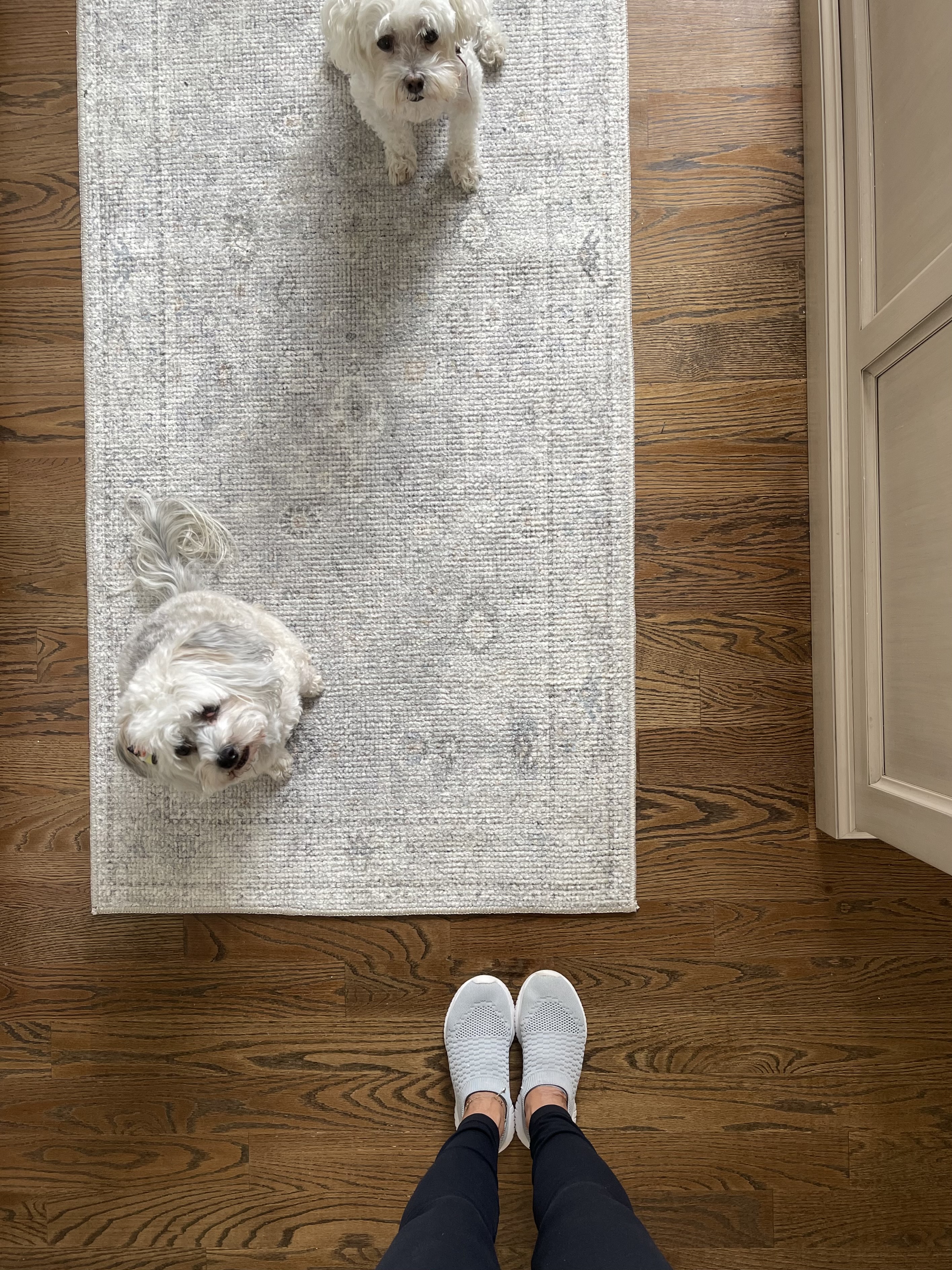 Runner Refresh thumbnail