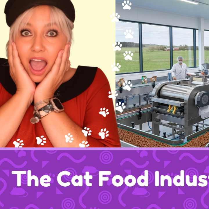 The Cat Food Industry Today thumbnail