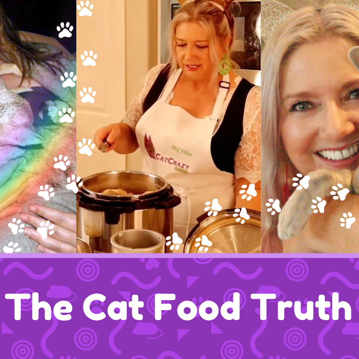 We Lost Two Cats… Then We Discovered the Dark Truth About Cat Food🐾 thumbnail