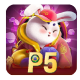 P5.COM thumbnail