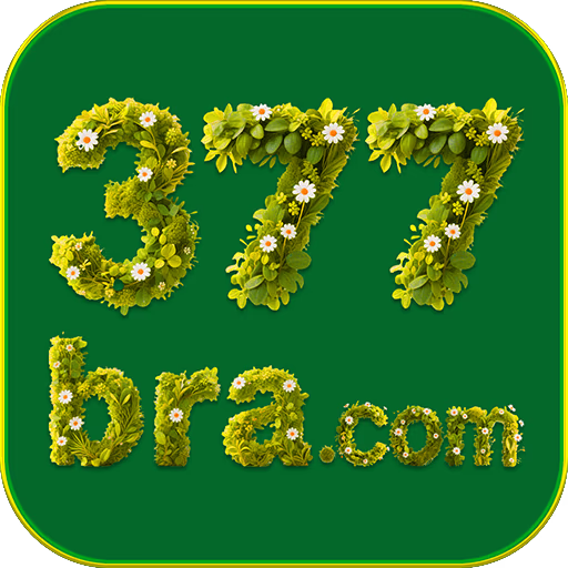 377BRA thumbnail