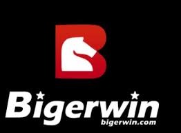 BINGWIN thumbnail