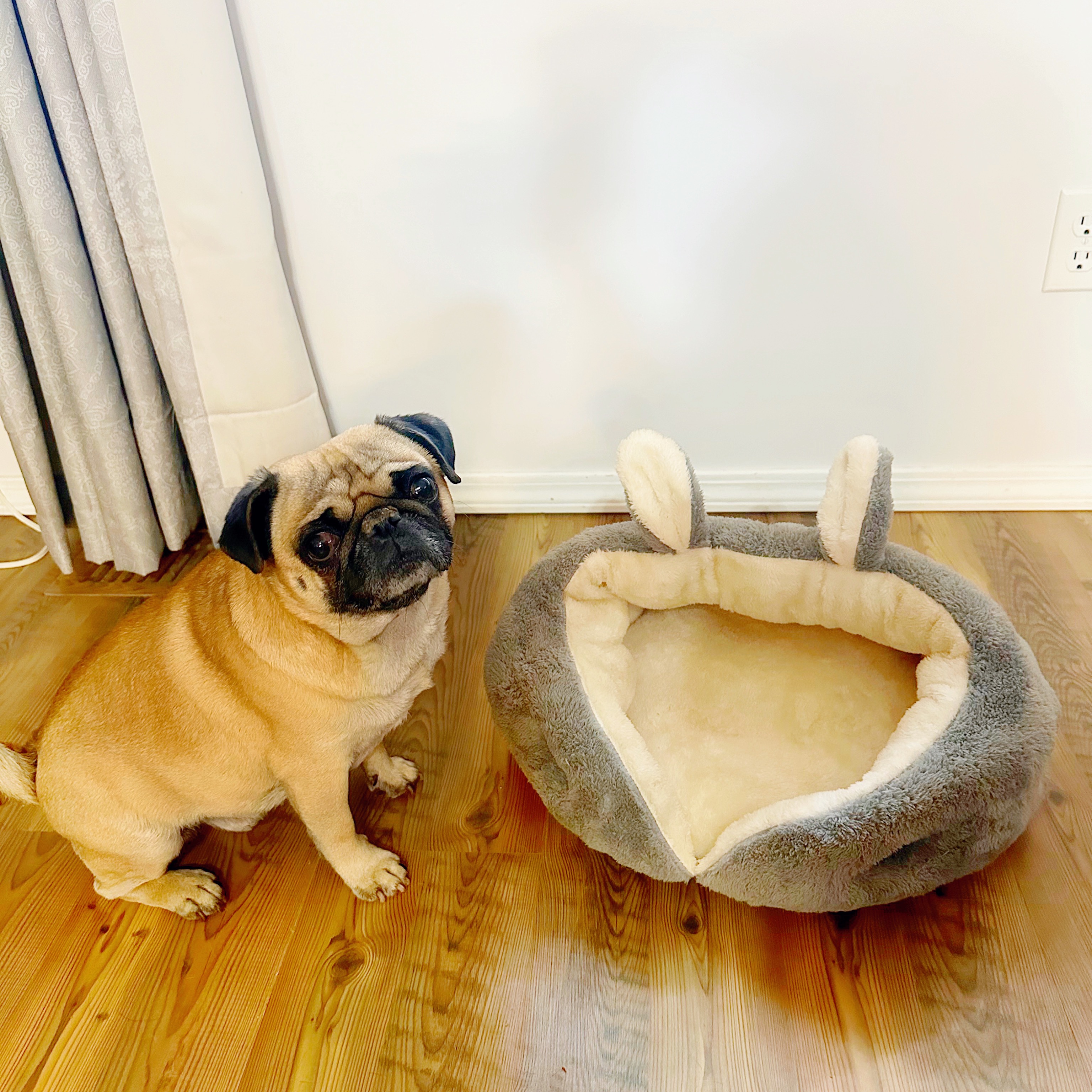 Bunny dog bed thumbnail