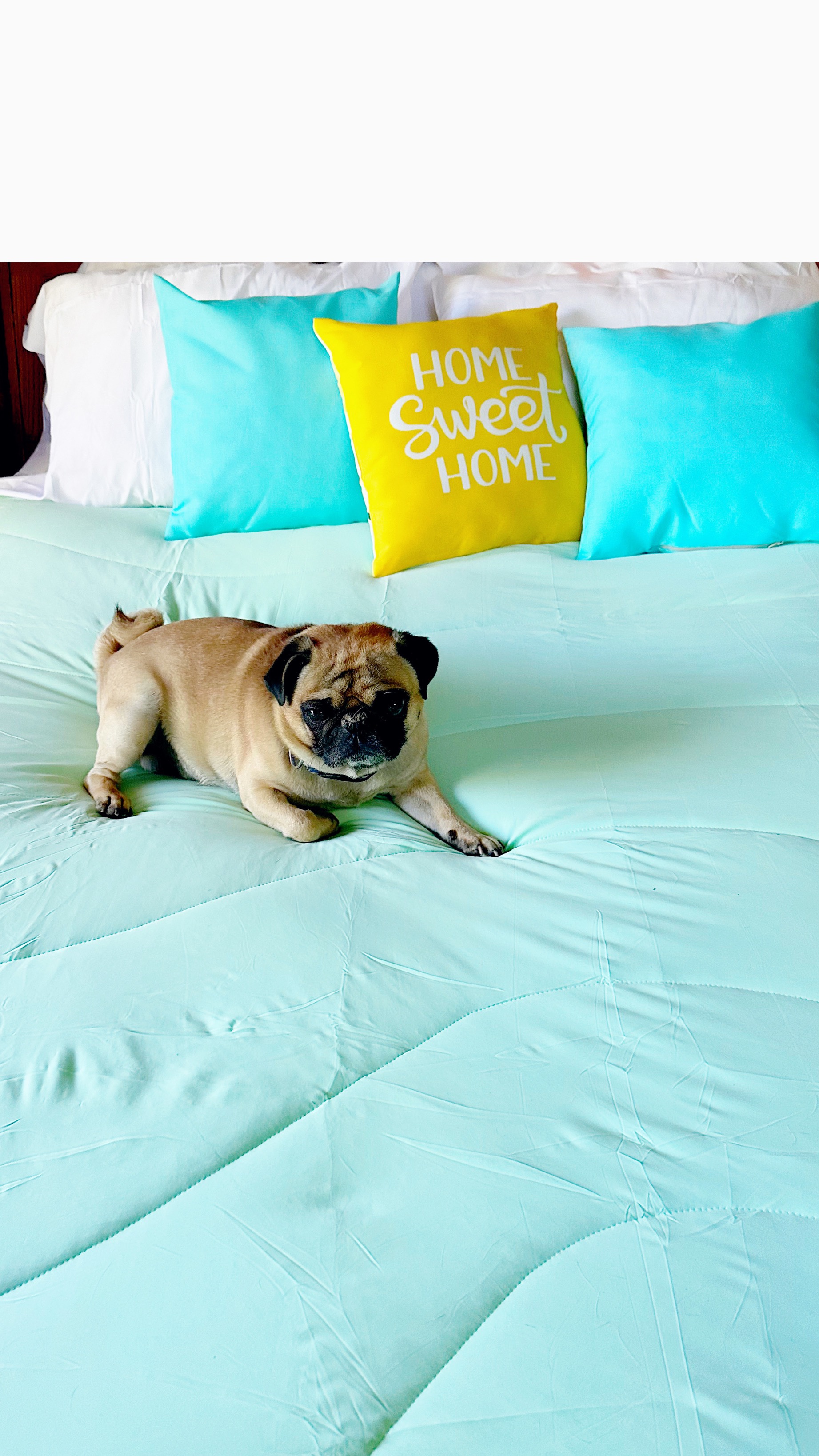 Amazon-Cooling Blanket thumbnail