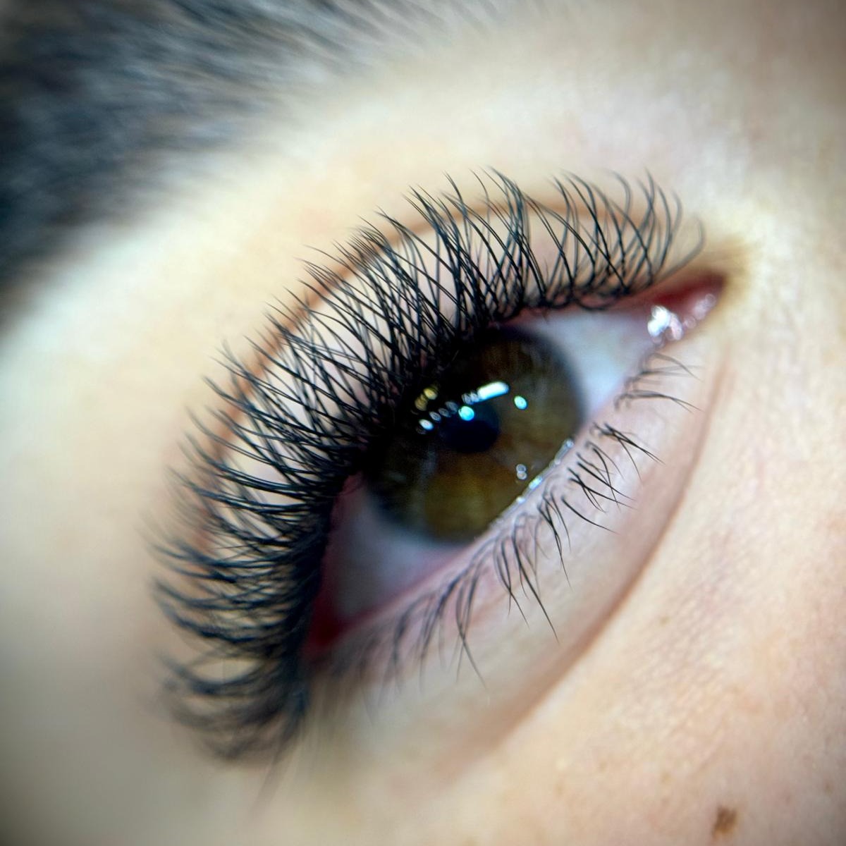 VOLUME BRASILEIRO thumbnail