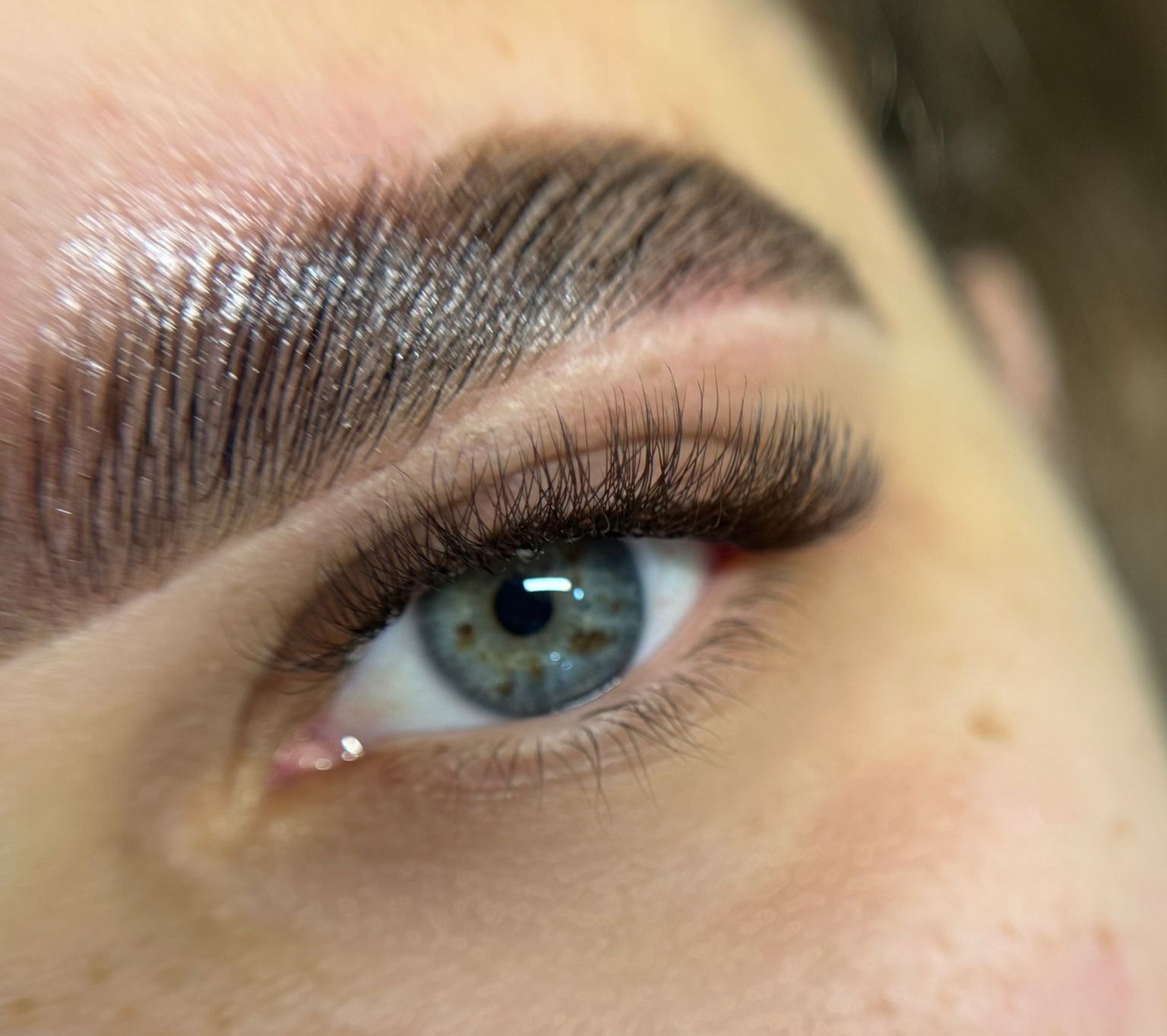 VOLUME EGIPCIO CASTANHO thumbnail