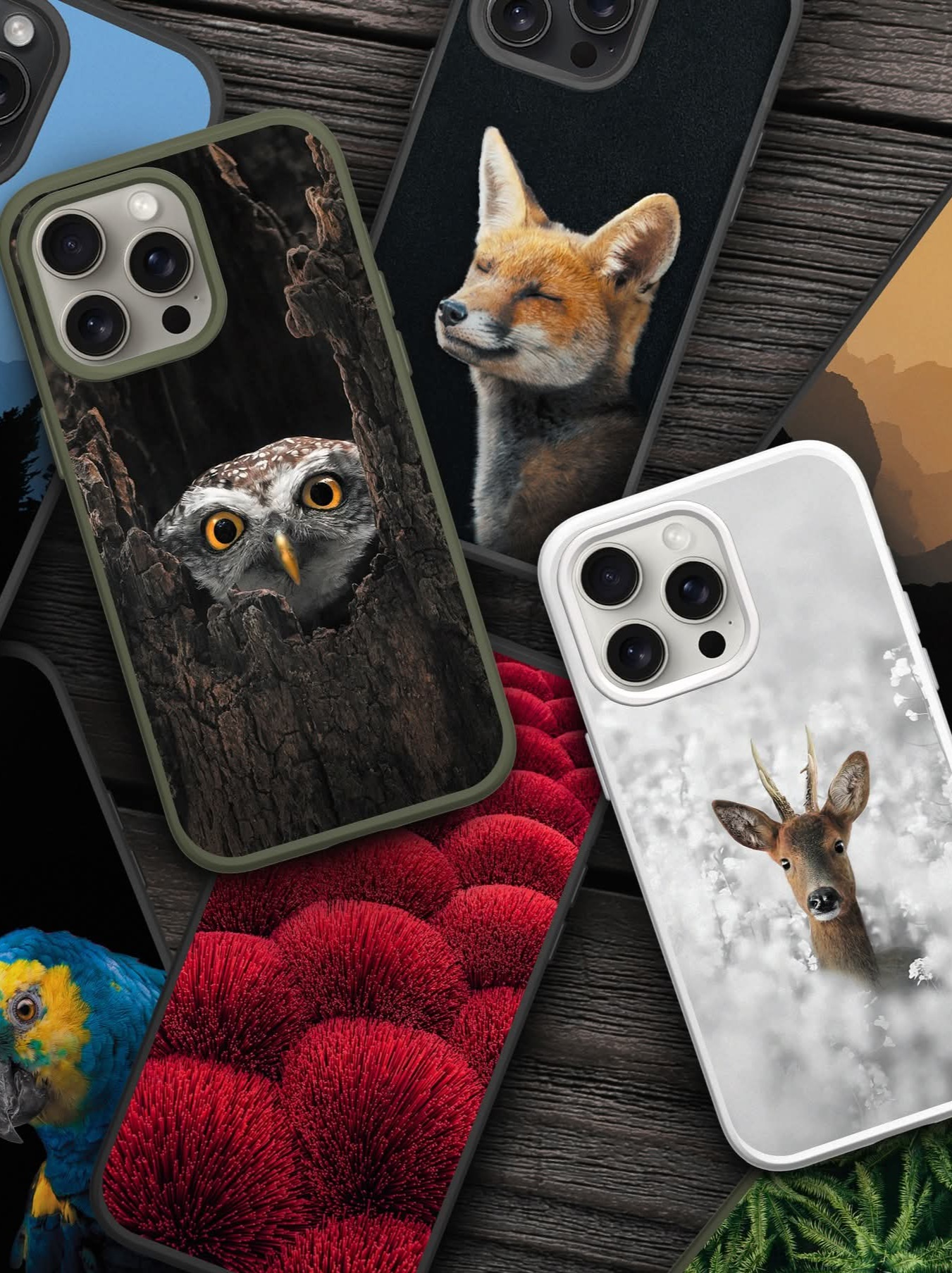 Rhinoshield X AlexisRateau thumbnail