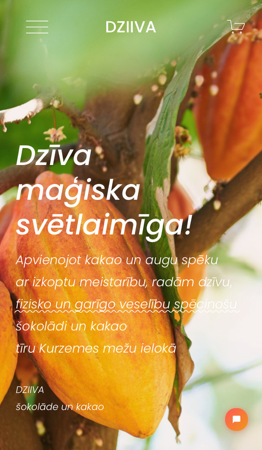 dziiva.com thumbnail
