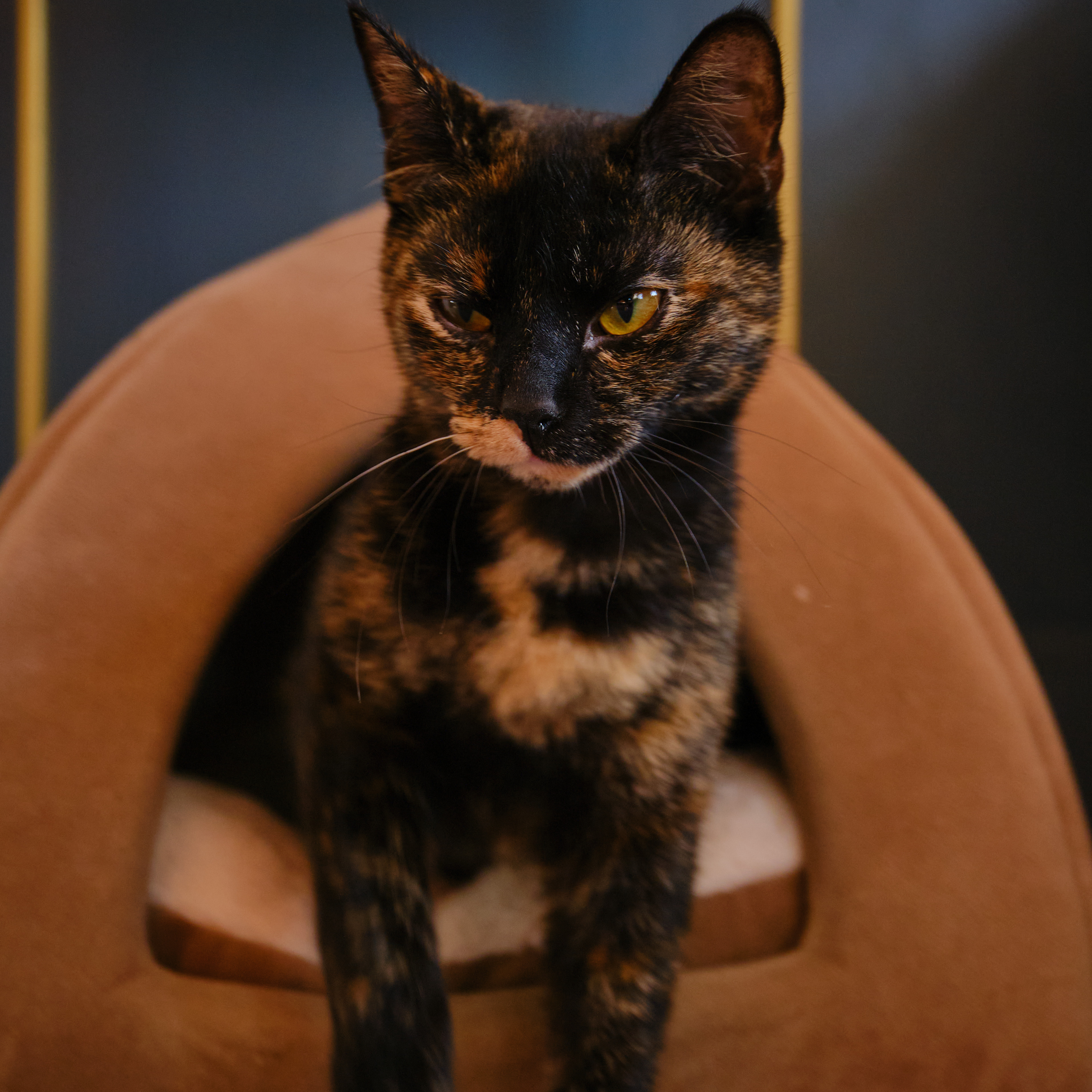 get to know my style better thumbnail