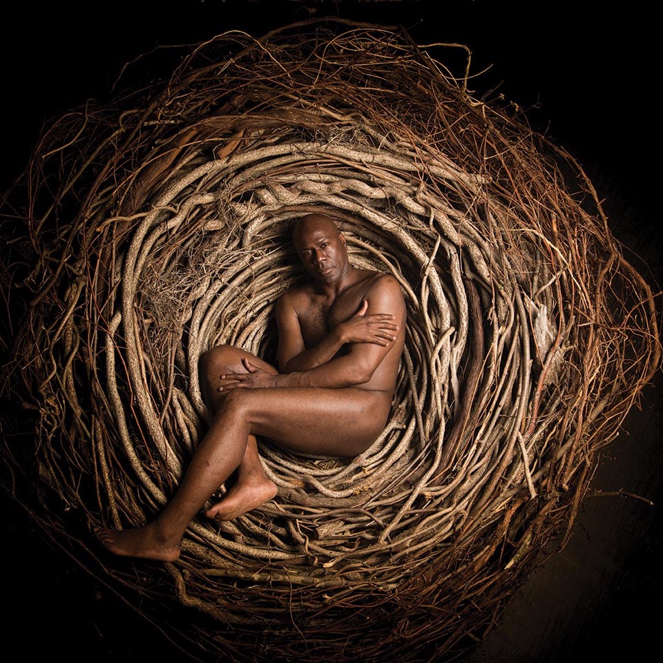 View our online exhibition: The Black Exhale Nest thumbnail
