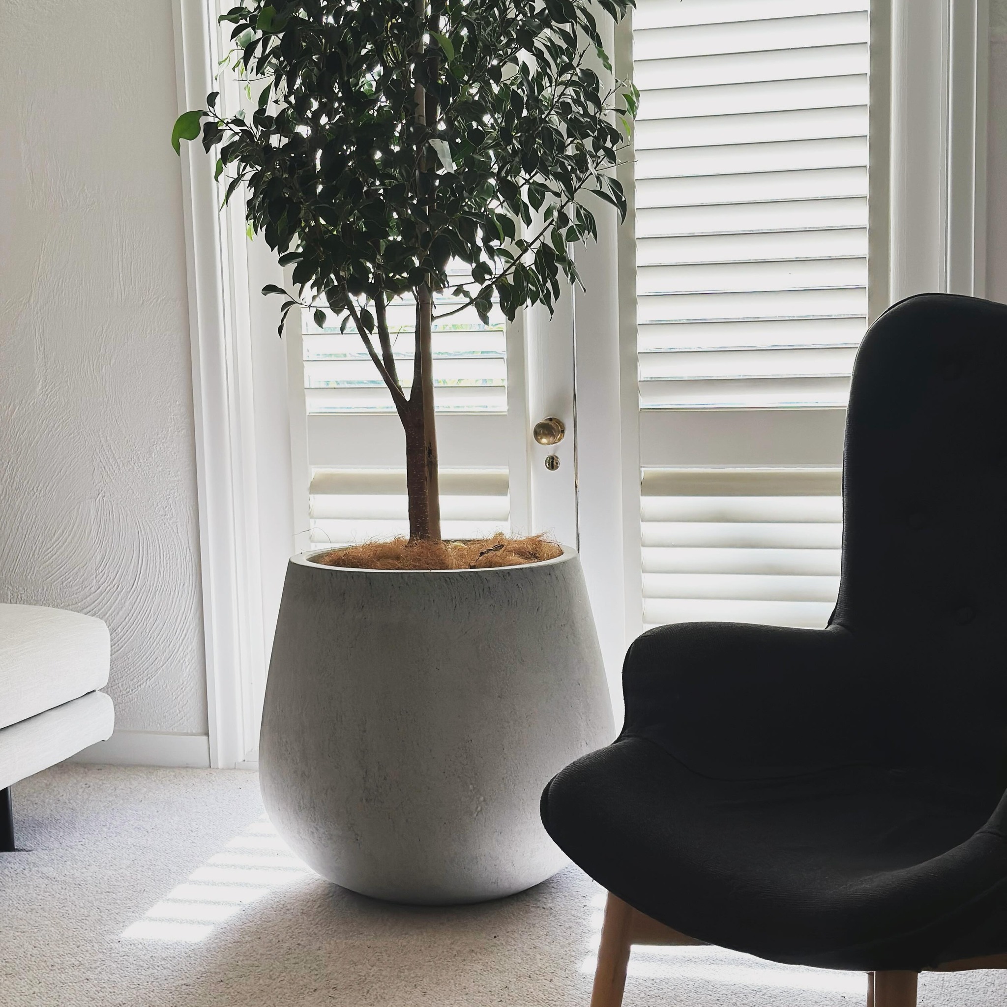 Immerse yourself in a therapeutic sanctuary designed to nurture and nourish your wellbeing ||

At Illume Psychology, we 