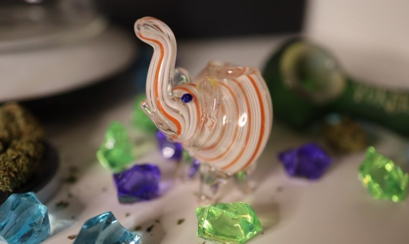 RIKVIP thumbnail