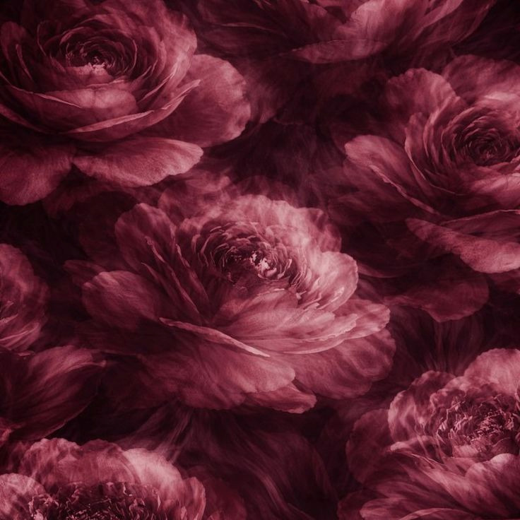 The Divine Altar | Discover Your Spiritual Path—Join Us Today thumbnail