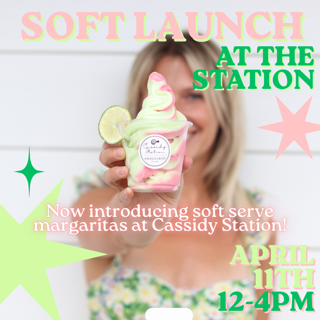 April 11th: Soft Launch at The Station thumbnail