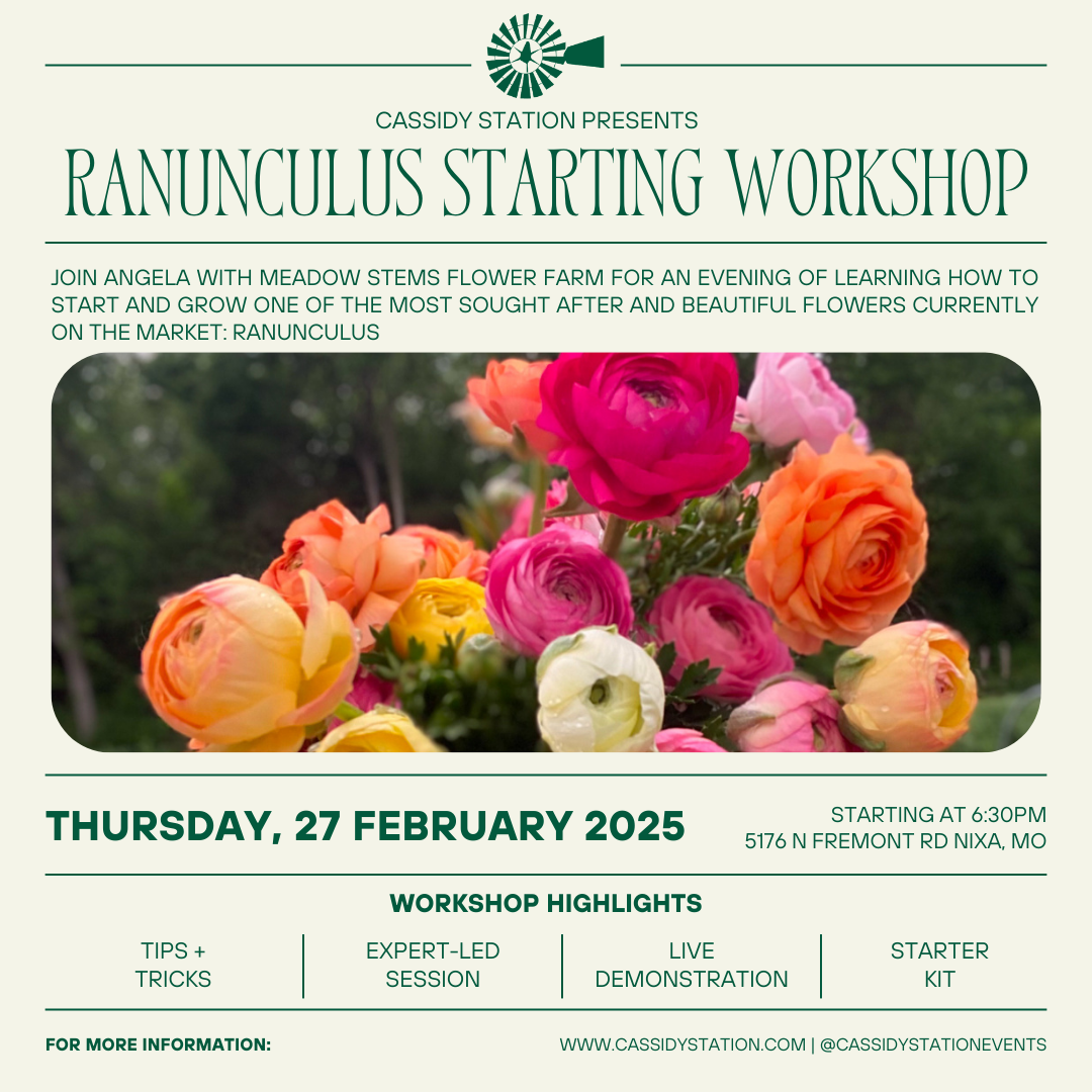 February 27th | Ranunculus Starting Workshop thumbnail