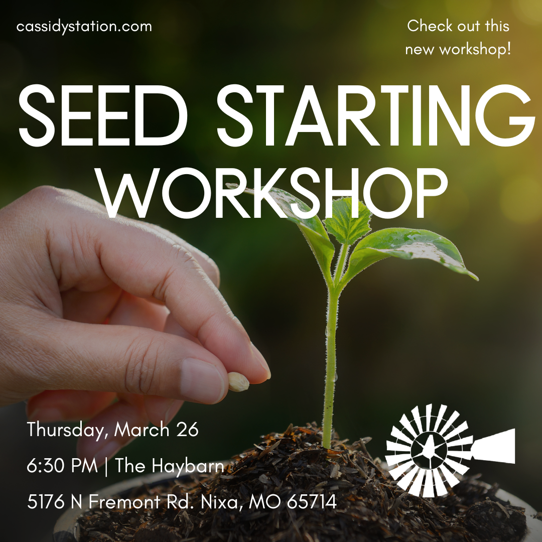 March 26th | Seed Starting Workshop thumbnail