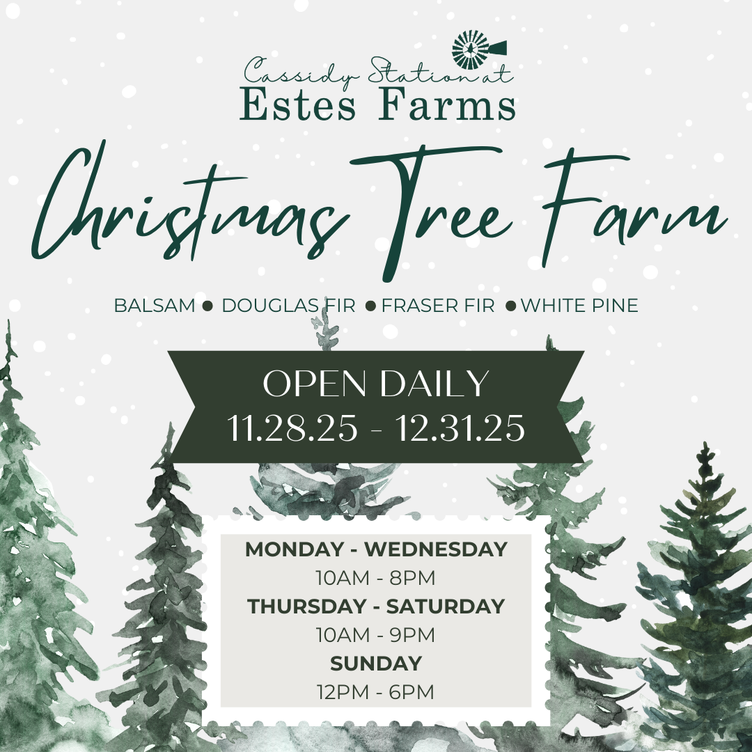 Nov. 28th - Dec. 31st | Cassidy Christmas Tree Farm thumbnail