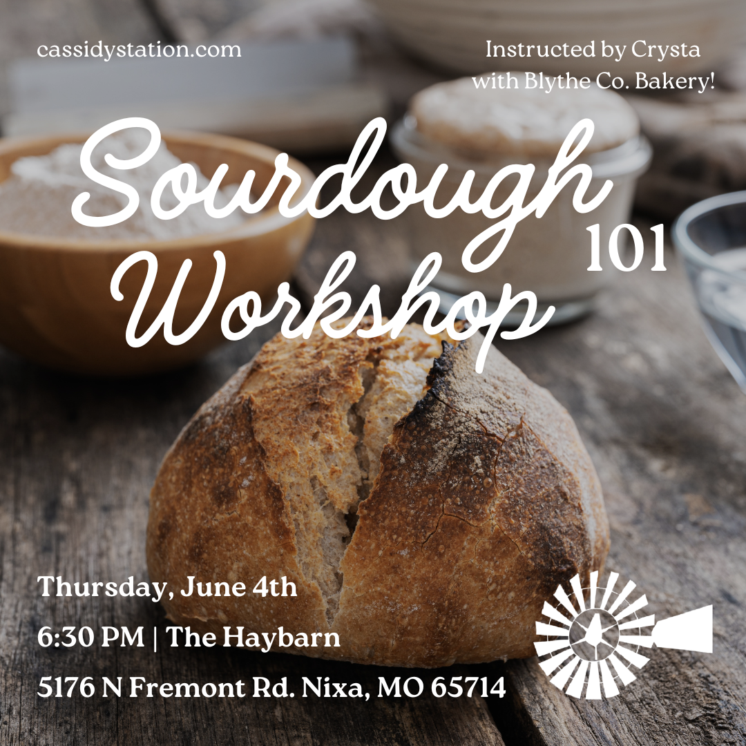 June 4th | Sourdough Workshop thumbnail