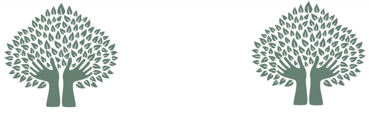 Actividad - Escuela de Participación Ciudadana thumbnail