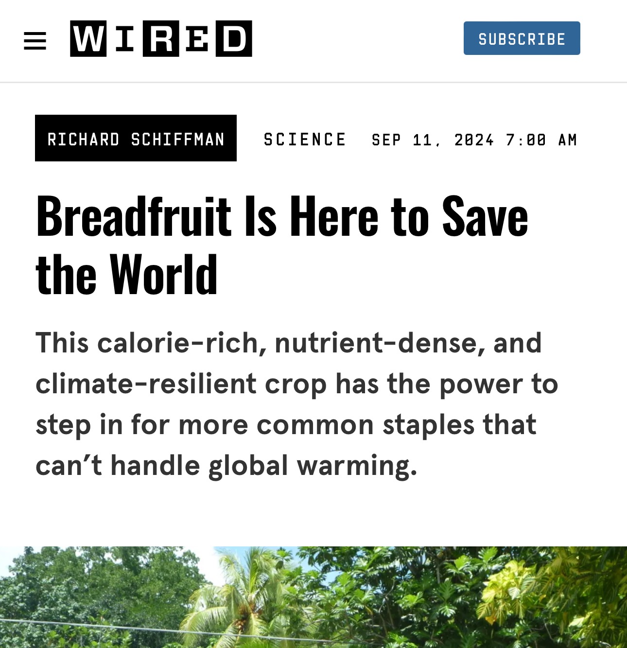 Breadfruit Is Here to Save the World thumbnail