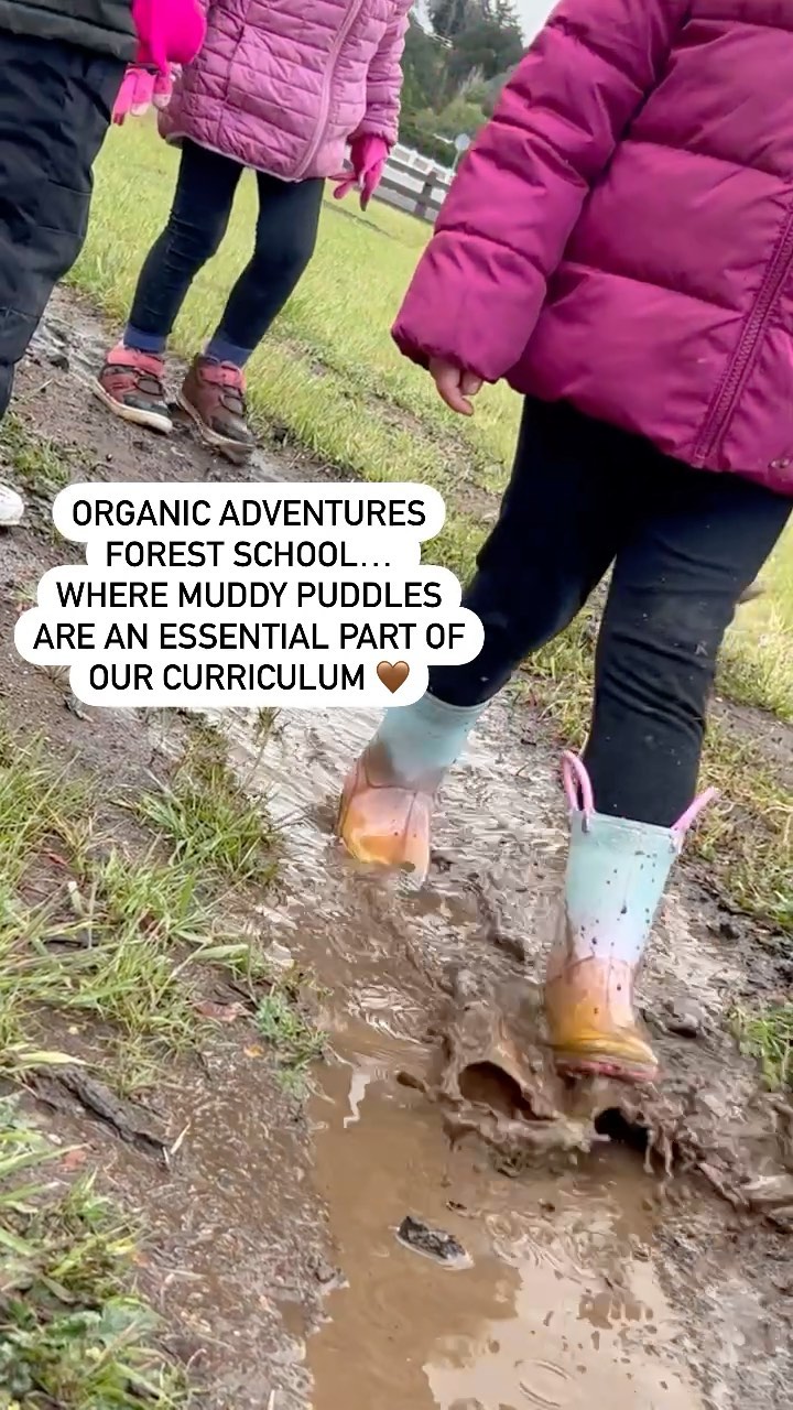 Mud, mud, mud…and more mud! 🤎

No such thing as bad weather for us when we have endless muddy puddles all around us! 

#