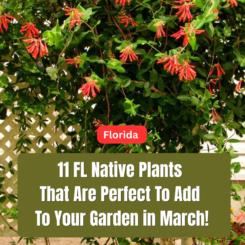 Explore My Blogs! thumbnail