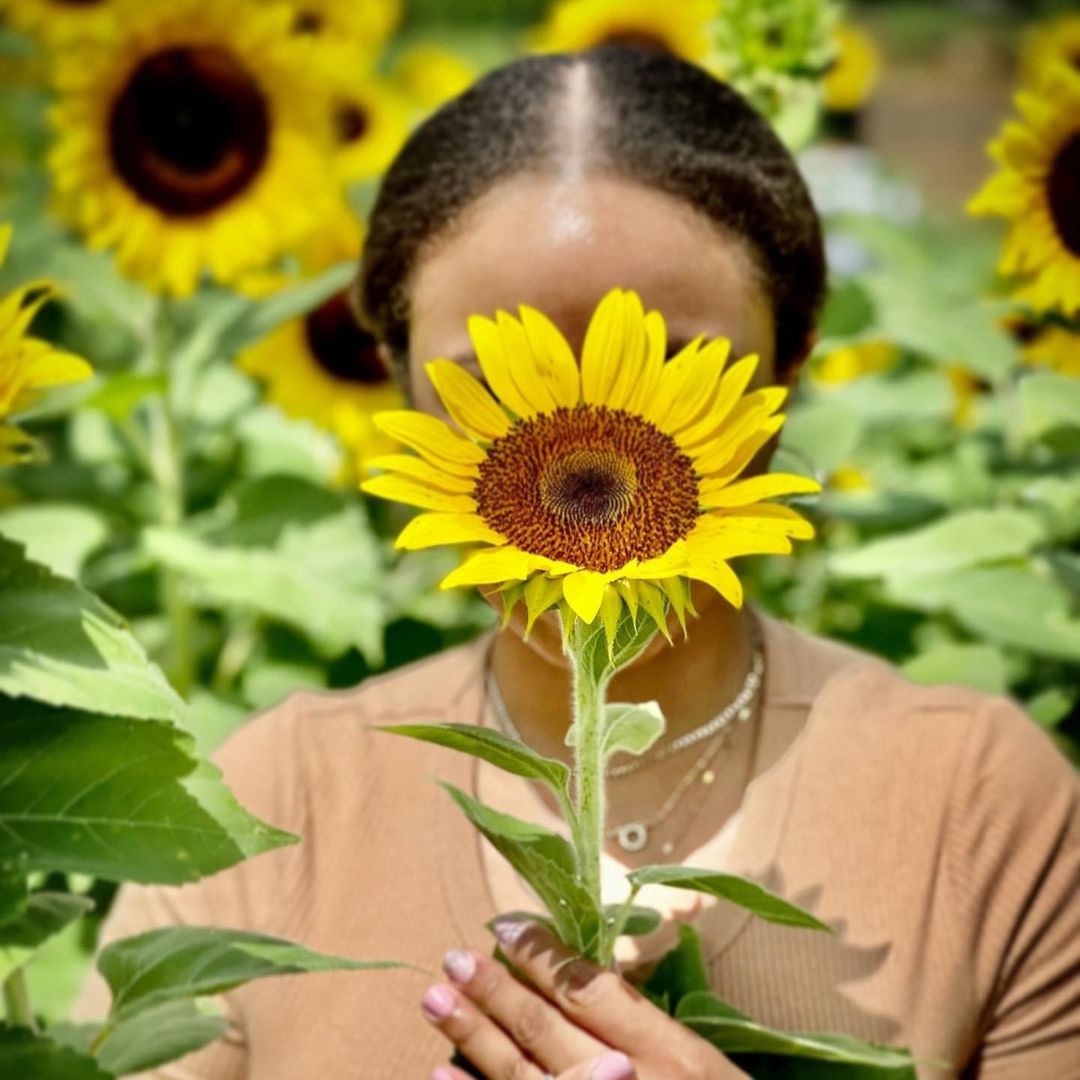 View My Media Kit  thumbnail