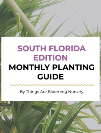 Get My eBook for South Florida Gardening tips! thumbnail