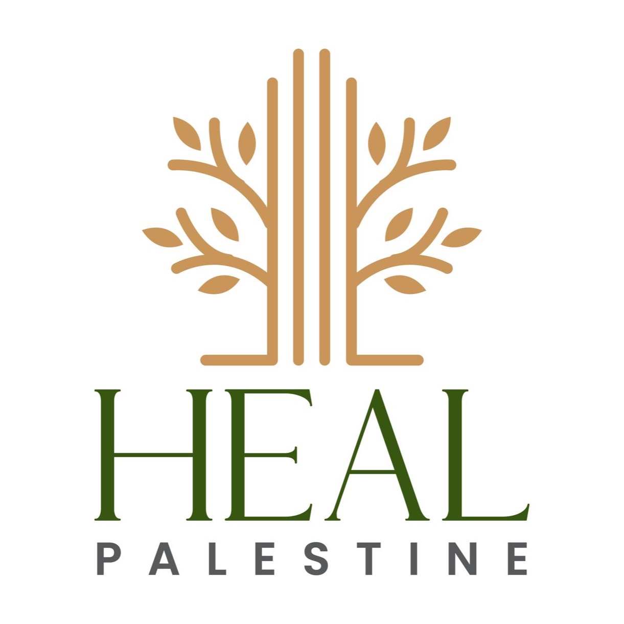 Donate to Heal Palestine thumbnail