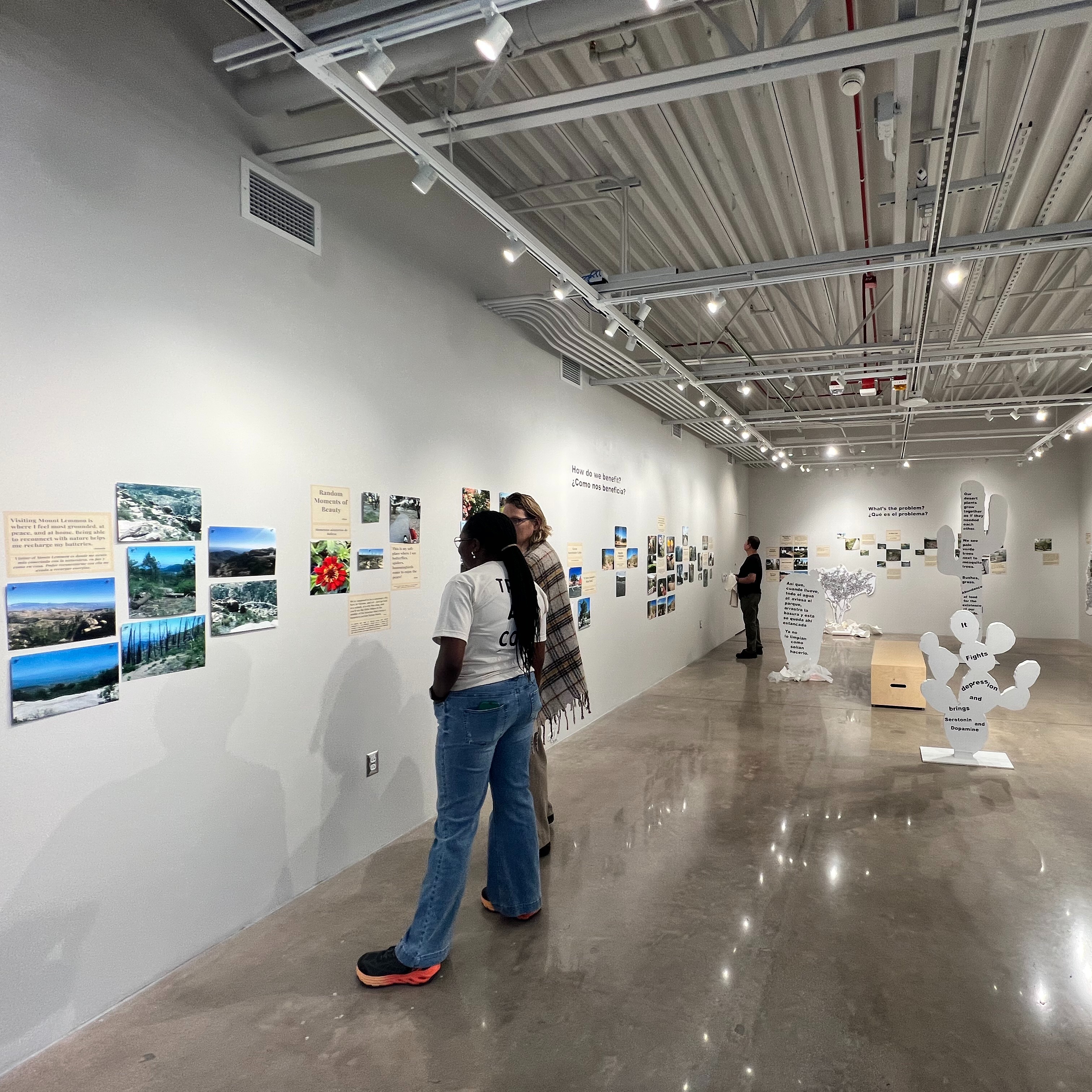 PHOTOVOICE - Greenspaces and Health thumbnail