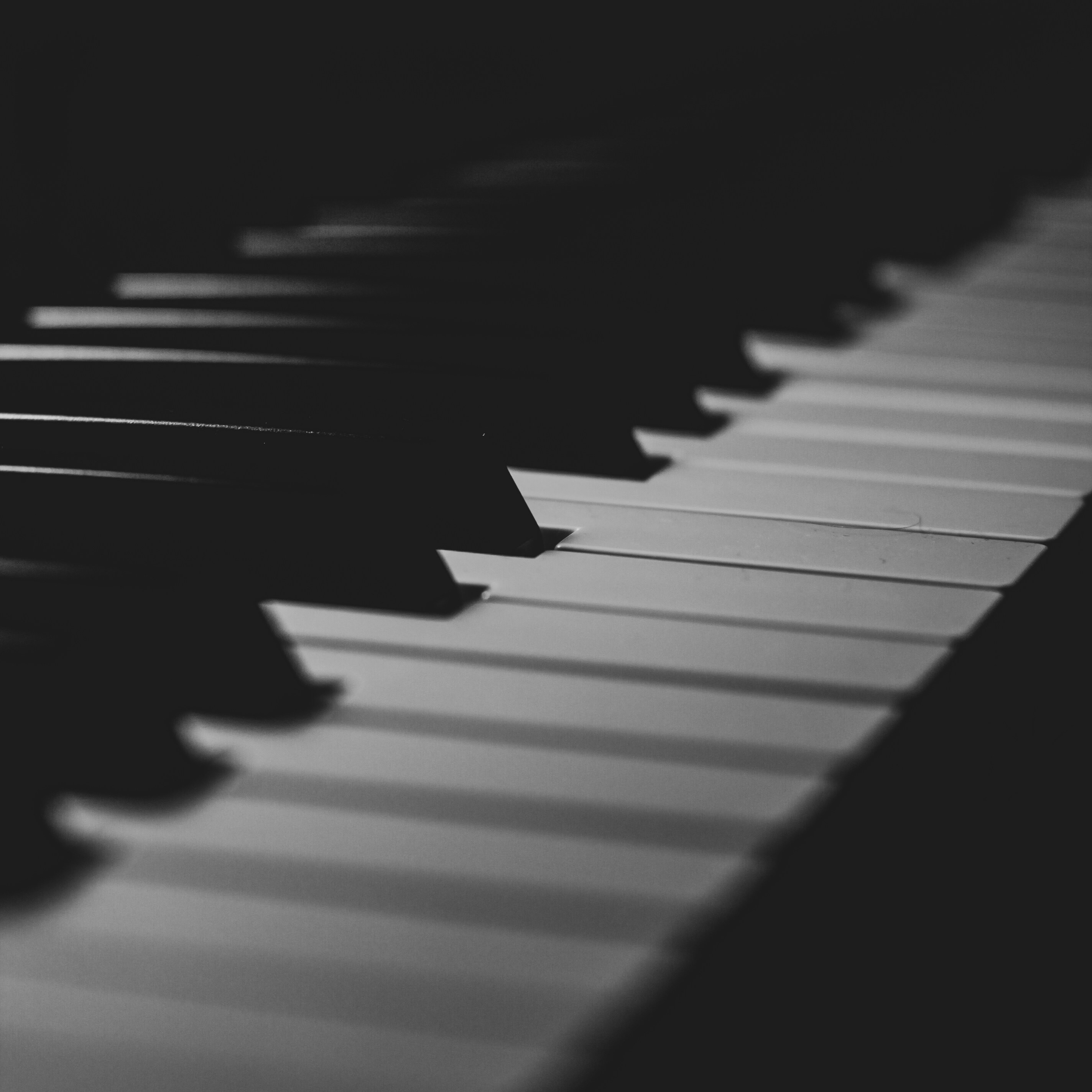 Explore All My Release thumbnail