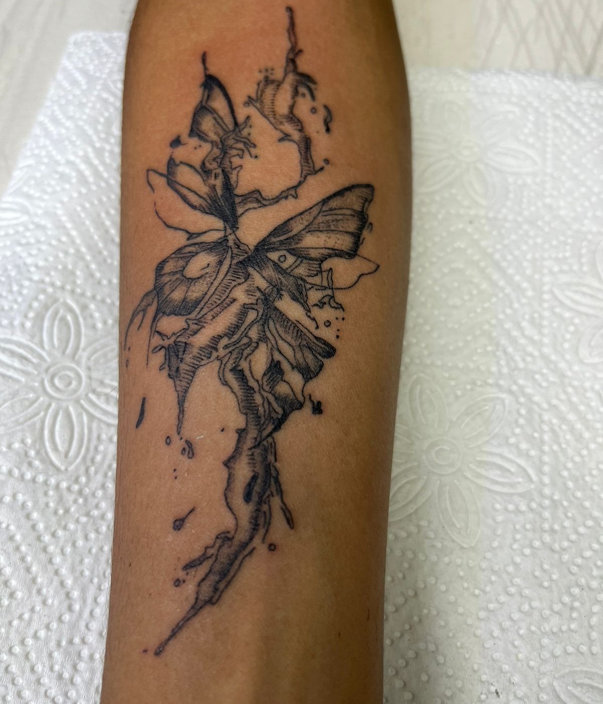 Fine Line butterfly thumbnail