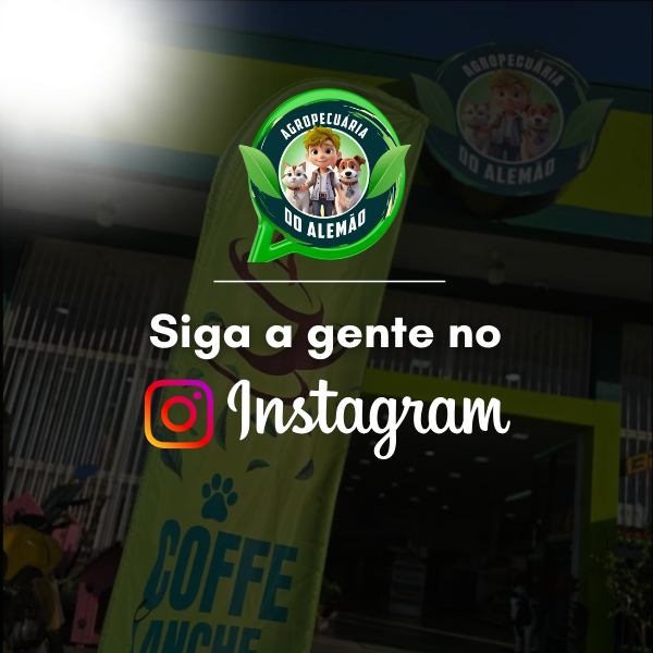 Siga nosso Instagram thumbnail