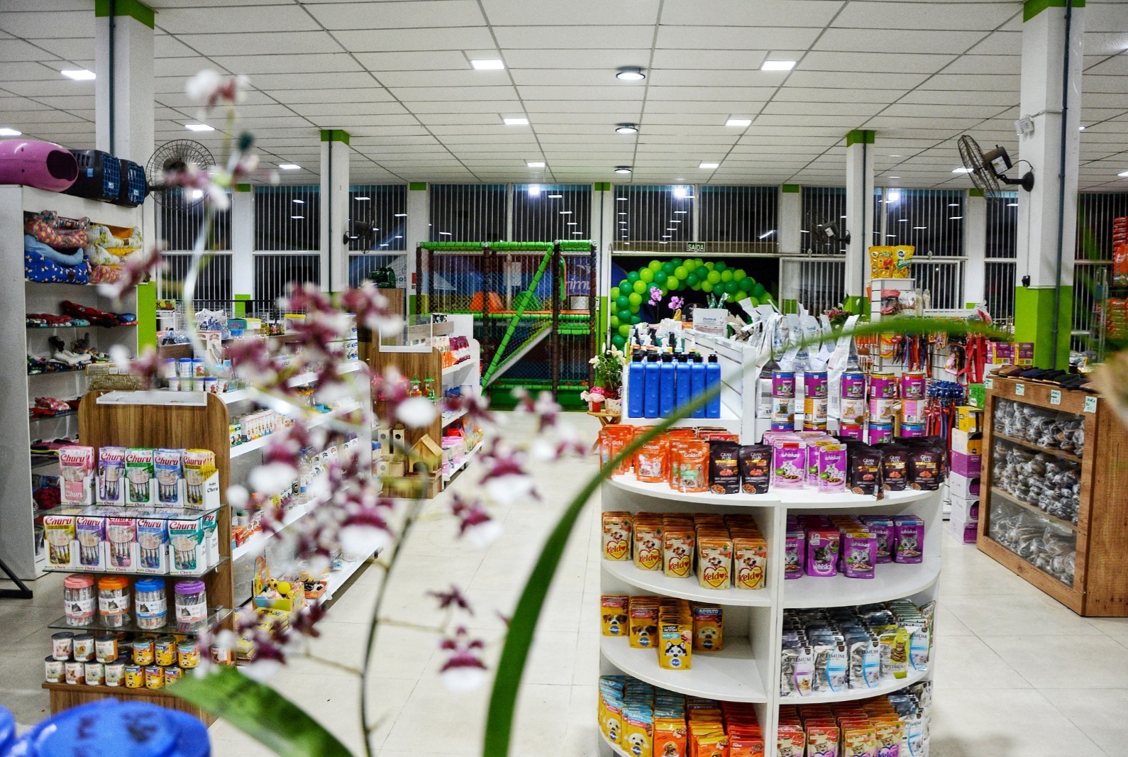 Acessórios Pet thumbnail