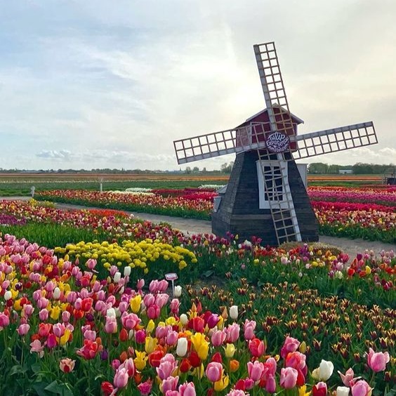 AMSTERDÃ - PAÍSES BAIXOS thumbnail