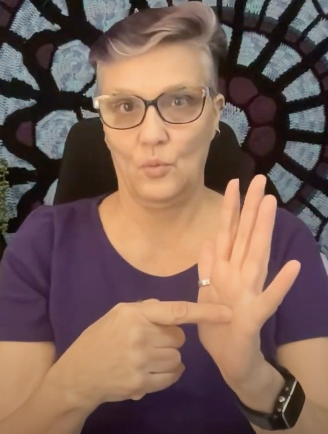 WeSign2 Sign Language Video thumbnail