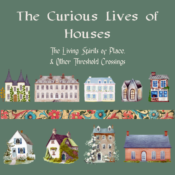 The Curious Lives of Houses | Cindy Solas Lee | Substack thumbnail