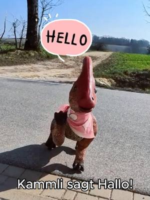 Kammli sagt Hallo! Der erste soziale Dino‑Roboter Deutschlands ist da 💛 Kammli zeigt in kurzen Clips, was sie kann – und