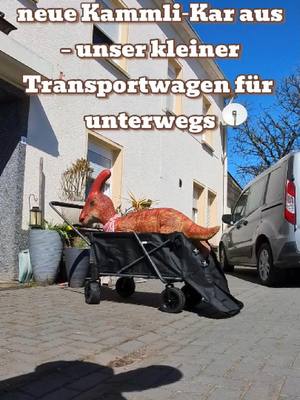 Kammli‑Kar Unboxing 🦕✨“ Kammli kann es kaum erwarten – wir packen die neue Kammli‑Kar aus!  #BehindTheScenes#SozialerRob