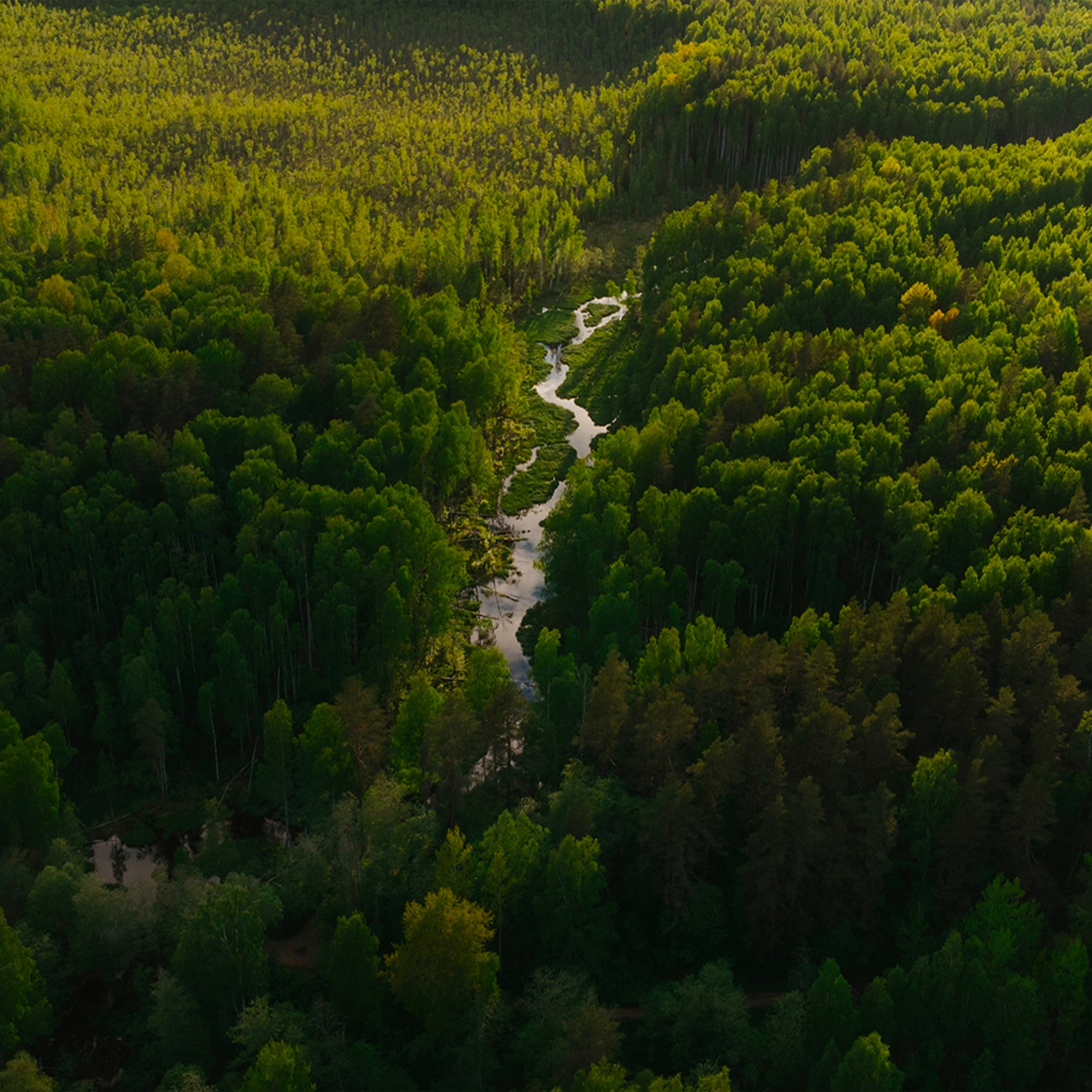 WE RESPECT_ NATURE thumbnail