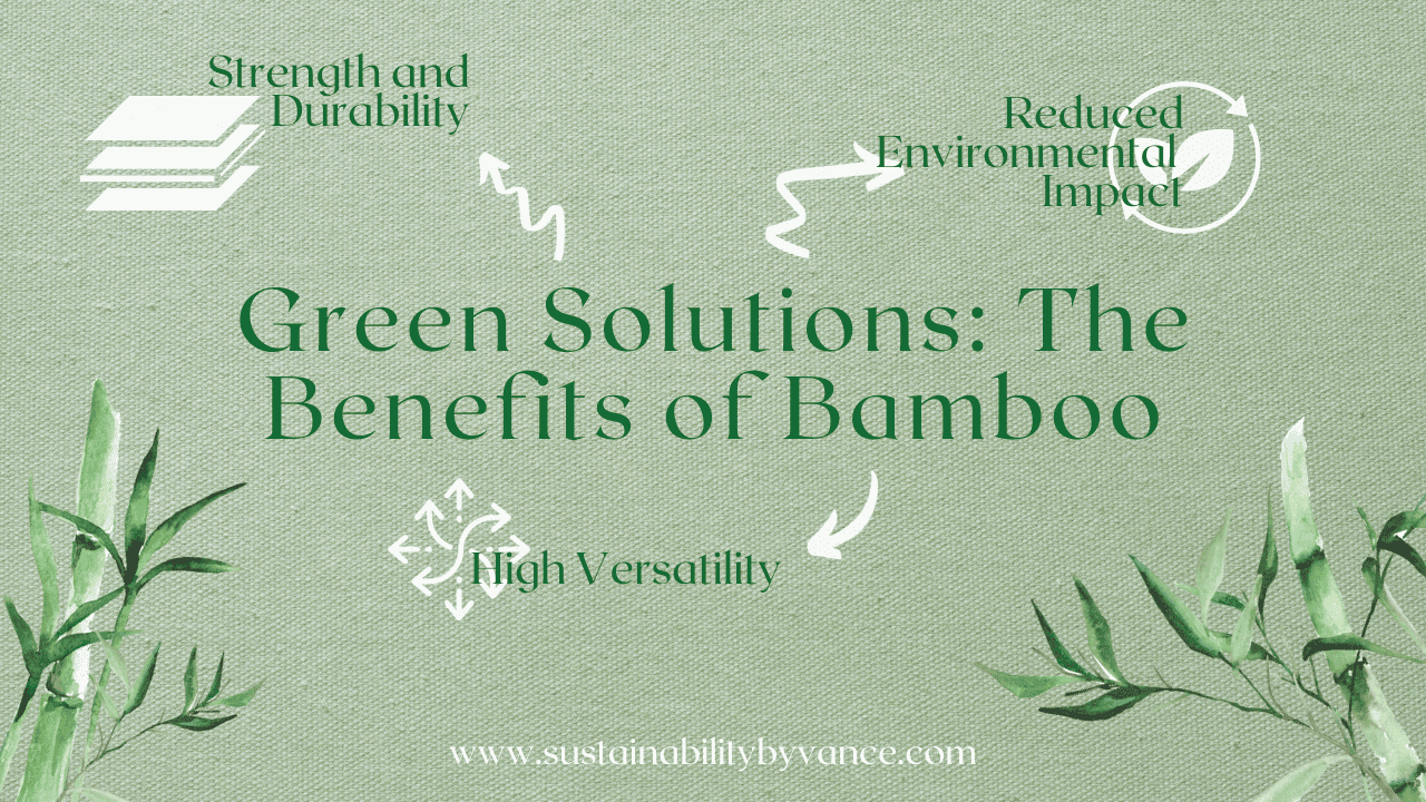 Green Solutions: Bamboo as an Eco-Friendly Alternative and Great Products! - sustainabilitybyvance thumbnail