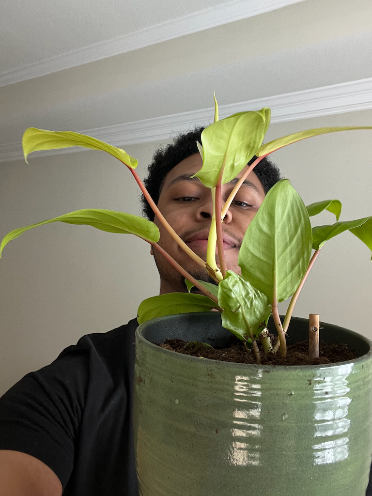 Vances' Climate - Minute Reads thumbnail