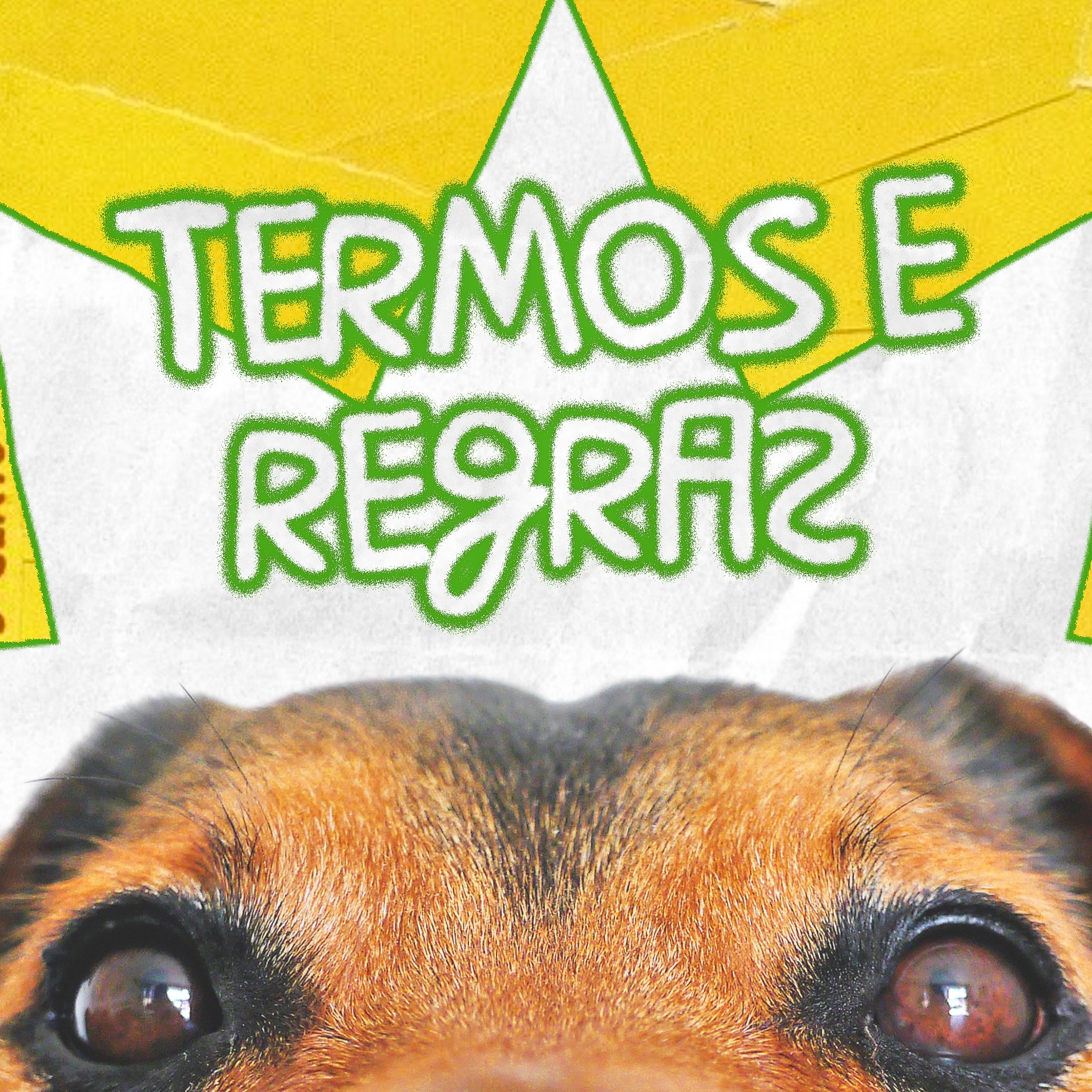 PEÇA AQUI! thumbnail