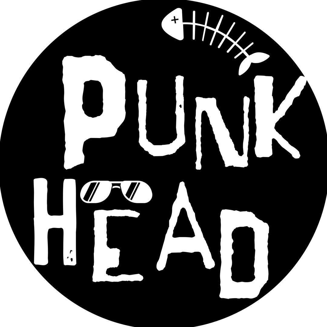 PUNK HEAD - 5 QUESTIONS thumbnail