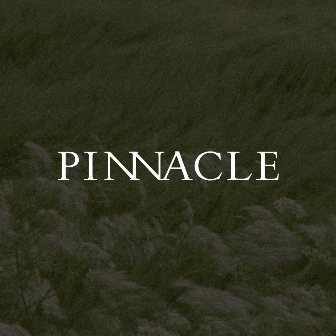 8 WEEK STRATEGIC BRAND SYSTEM thumbnail