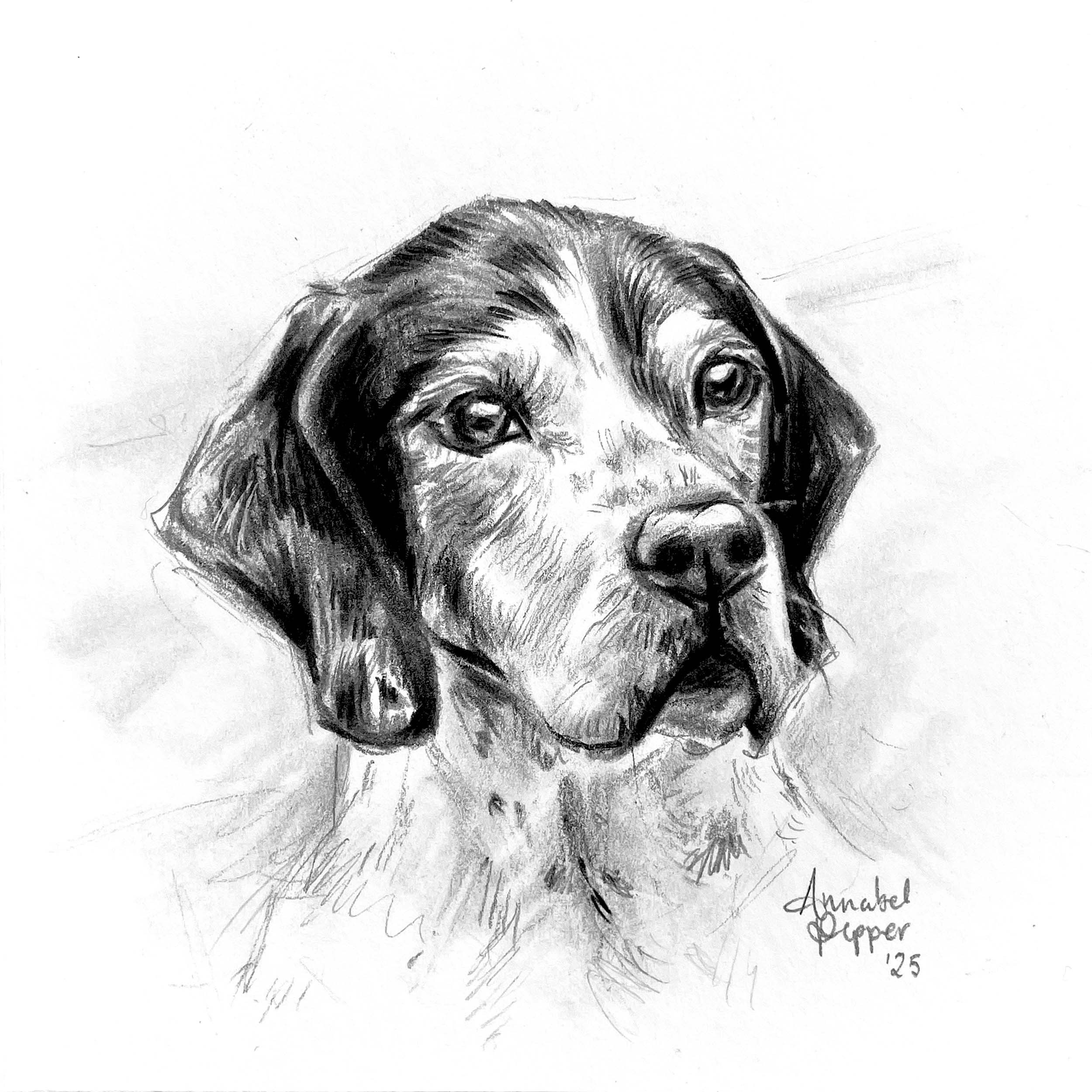 Pet Portrait Online Shop thumbnail